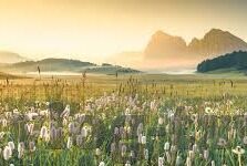 噜噜影院日韩AV在线-噜噜影院，日韩AV在线的多元文化体验与争议