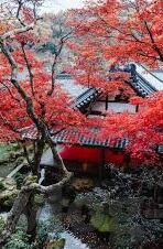 麻豆国产尤物av尤物在线观看-麻豆国产尤物,网络文化的双重风景